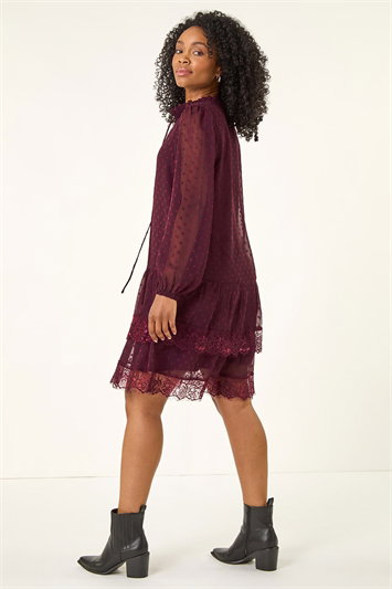 Petite Frill Tie Front Lace Dress 14800395