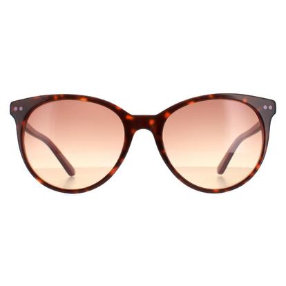 Brown Round Tortoise Milky Purple Brown Ck18509s