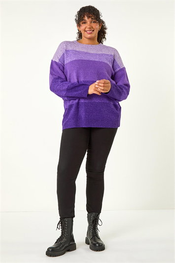 Curve Ombre Stripe Knit Jumper 16102476
