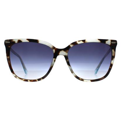 Multi Butterfly Aqua Tortoise Blue Gradient Ck22532s