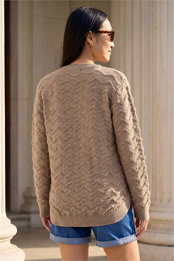 Shimmer Curved Hem Jumper 16350990