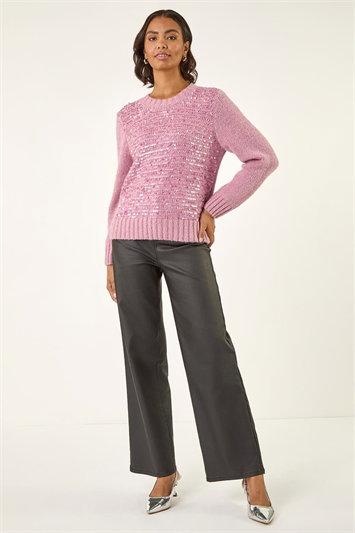 Sparkly Crew Neck Knit Jumper 16222272