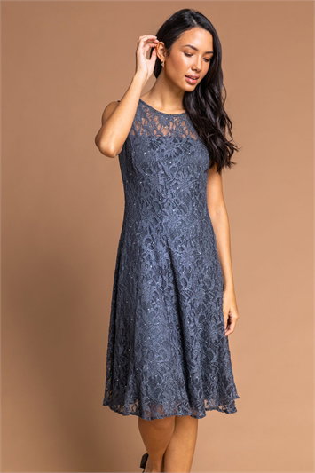 Metallic Glitter Lace Fit And Flare Dress