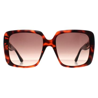 Black Square Dark Havana Brown Gradient Gu7689