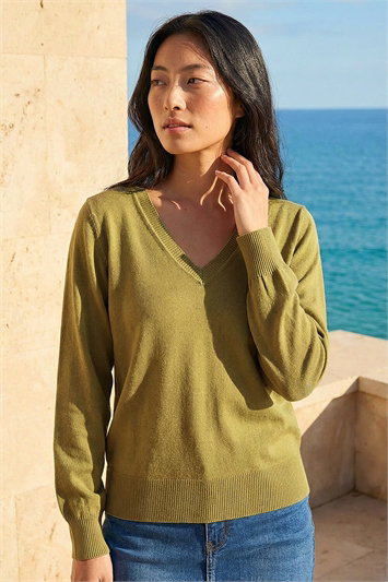 Petite V-Neck Knit Jumper 16320882