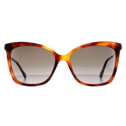 Brown Cat Eye Havana Brown Gradient Maci/S