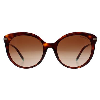 Brown Cat Eye Havana Brown Gradient Tf4189
