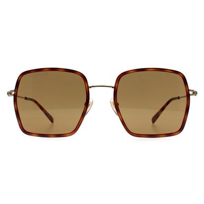 Brown Square Havana Gold Brown Gg1848s