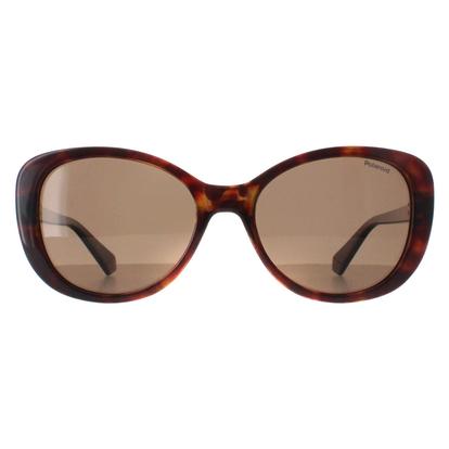Brown Butterfly Havana Bronze Polarized Pld 4154/S/X