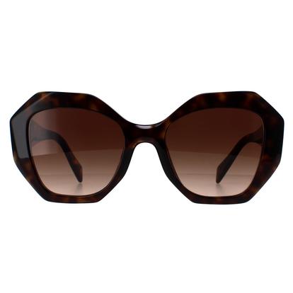 Brown Round Tortoise Brown Gradient Pr16ws
