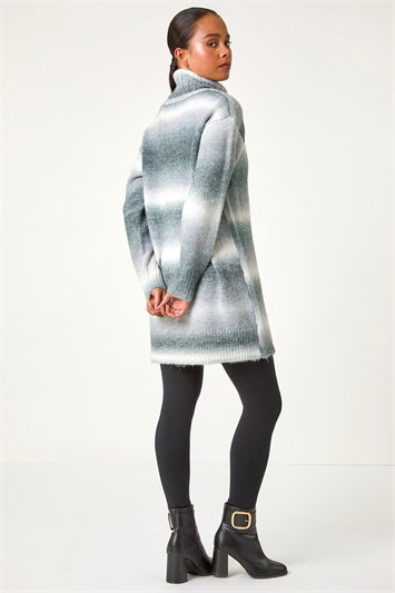 Petite Spacedye Stripe Roll Neck Jumper 16115636