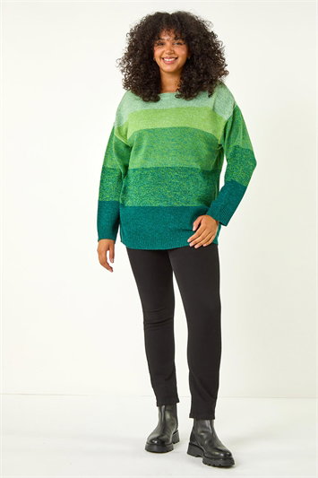 Curve Ombre Stripe Knit Jumper 16102434