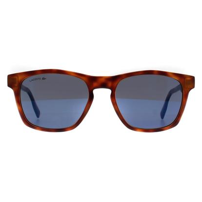Brown Cat Eye Tortoise Blue L988s