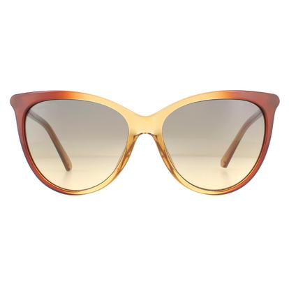 Brown Cat Eye Light Brown Transparent Brown Gradient Sunglasses