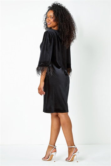 Petite Velvet Feather Trim Shift Dress 14437408