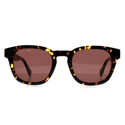 Brown Oval Dark Havana Brown L6015s