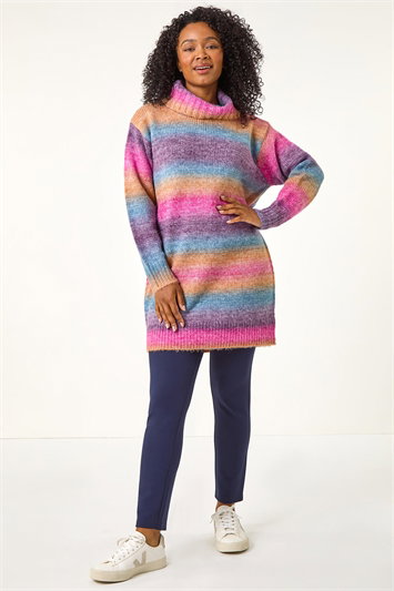 Petite Spacedye Stripe Roll Neck Jumper 16115609