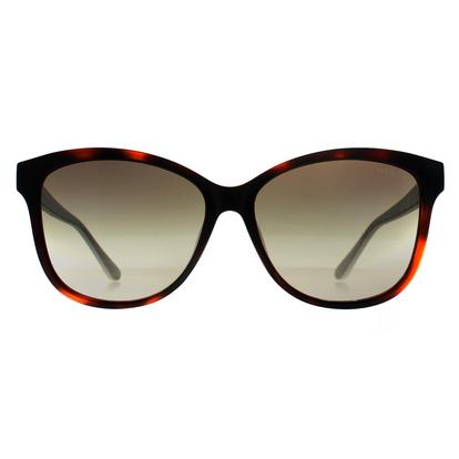 Brown Square Dark Havana Green Gradient Gu7920