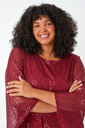 Curve Sequin Flared Sleeve Top 19238078