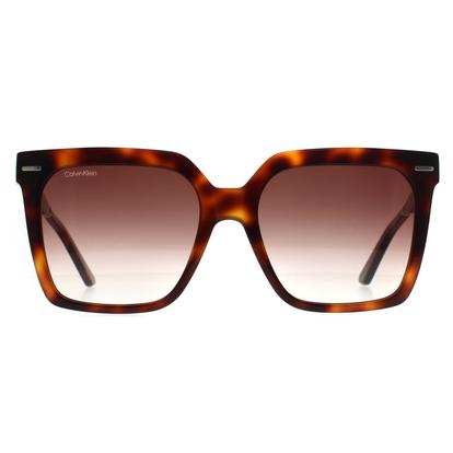 Brown Square Brown Havana Brown Gradient Ck22534s
