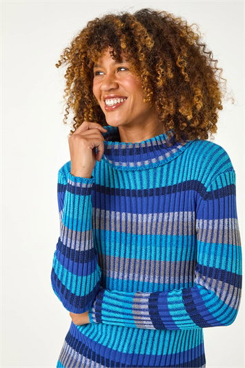 Blue Roll Neck Stripe Print Ribbed Knit Jumper