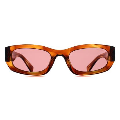 Brown Oval Striped Tobacco Dark Violet Mub04s