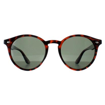 Brown Round Turtle G15 Polarized Mp20