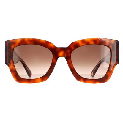Brown Square Havana Honey Brown Gradient Th 1862/S