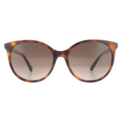 Brown Round Dark Havana Brown Gradient Sunglasses
