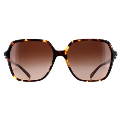 Brown Square Dark Tortoise Brown Gradient Mk2196u Jasper
