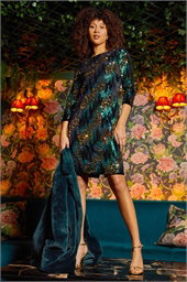 Sequin Shimmer Velvet Dress