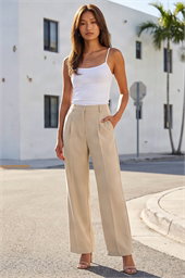 Pleat Front Wide Leg Trouser