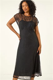 Petite Lace Stretch Midi Dress