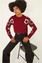 Embellished Crew Neck Knit Jumper