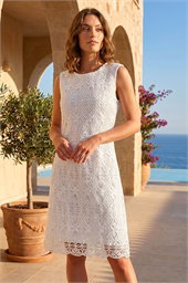 Petite Lace Shift Dress