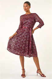 Metallic Lace Stretch Dress