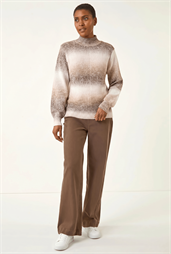 Ombre Stripe Knit Jumper