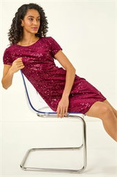Dusk Sequin Velvet Shift Dress