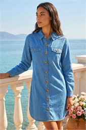 Denim Button Down Shirt Dress