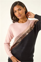 Sparkly Colour Block Jumper