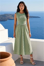 Petite Frill Shirred Midi Dress