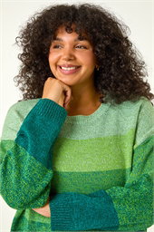 Curve Ombre Stripe Knit Jumper