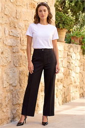 Petite Stripe Bengaline Stretch Trouser