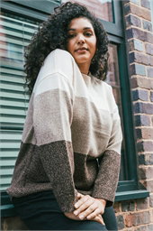 Curve Ombre Stripe Knit Jumper