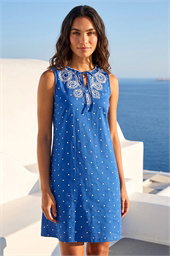 Embroidered Polka Dot Mini Dress