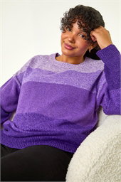 Curve Ombre Stripe Knit Jumper