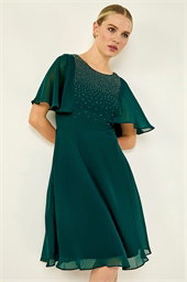 Petite Embellished Skater Dress
