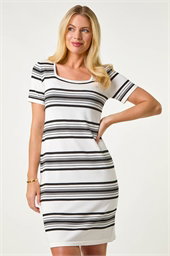 Petite Stripe Knit Dress