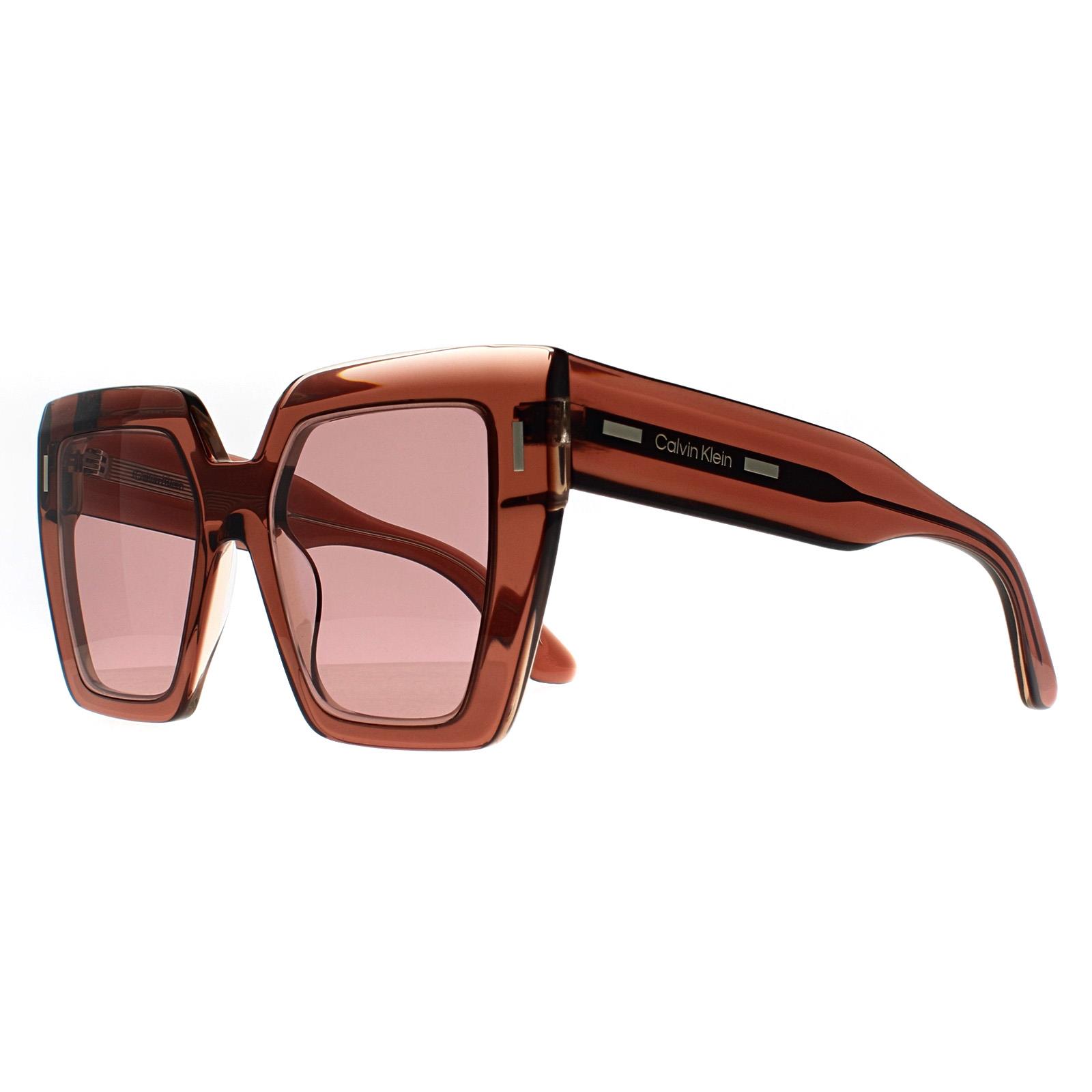 Brown Square Transparent Dark Brown Burgundy CK23502S, Image 2 of 3