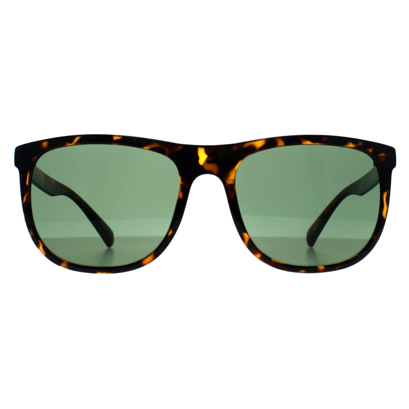 Brown Square Shiny Havana Green CK22557S, Image 1 of 3